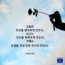 행복의 주인공. 달걀김감자.비경 이미지