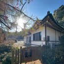 가로수길정원하우스(펜션) | 태안 천리포수목원 독채펜션 가든하우스 벚나무집 가족펜션 숙소