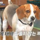 마량떡방앗간