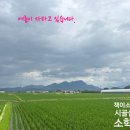 독거노인 노인돌봄 감정코칭 색채와 타로카드를 활용하는 내면탐색 대구 범물노인복지관 강의 후기