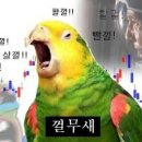 월인텍