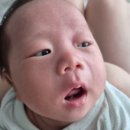 조연이비인후과병원 이미지