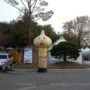 창녕 비사벌 문화축제 (2015 .10. 23) 이미지