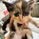 부천대학교 국제관 이미지