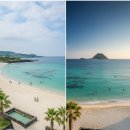 풍경좋은돌담집펜션 | [제주 감성 숙소] 온 가족이 반한 '제주유화펜션', 찜질방부터 온수풀까지 완벽 힐링 후기