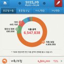 조블리네 (밀린가계부 투척) 이미지