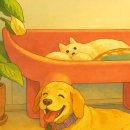 오마이펫 이미지