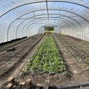 대산농장2 이미지