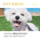 털로덮인친구들 동탄호수공원점 이미지