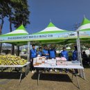 홍성상설시장 고기 굽는 날 이미지