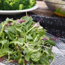 까사비앙카 이미지