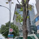 양재역11번출구 이미지