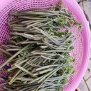 달성보약산민박 이미지