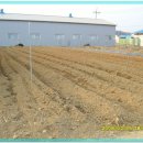 김영욱농장 이미지