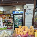 즐기go | 인천대공원 장미원 옆 매점 투어! 장미 구경 후 필수 코스
