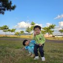 오션스타 휴양콘도미니엄 | 제주동쪽숙소 성산 오션스타 레저콘도 내돈내산 비추천후기