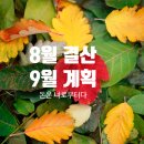 8월 결산 9월 계획 돈 공부 추천 책 돈은 너로부터다