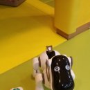 제로미카페 이미지