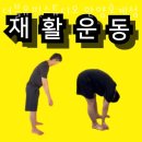 더블유핏