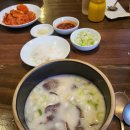 [부산] 거대곰탕/모모스커피 마린시티점/버거샵 해운대 방문 후기