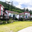 진도산새소리
