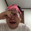 감정적인모든것