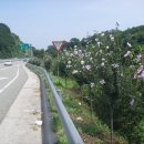 무궁화100리길 이미지