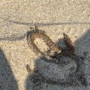 해변 낚시마트 이미지