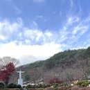 단양맛고을 이미지