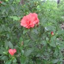 홍류동 화장실 이미지