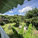 개멍물멍 이미지