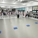 용인대 최고 태권도 이미지