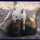 일화농장 이미지