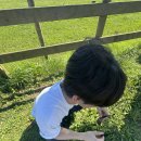 윤성목장 이미지