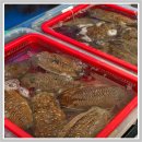 내고향서천 | 6시 내고향 충남 서천 주꾸미 반건조생선 택배주문문의 시장 위치 영업정보