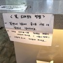 성서 이곡동 꽃다발 꽃집 더플라워편