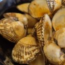 태봉초등학교 | 원주 짬뽕 맛집 예지현 태장점 위치 주차 내부 후기