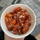 현정농장 | 우리는 다 행복해야 해ꕥ(_강낭콩 일지𖦹) [(5월)2]