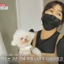 김하나 미용실 이미지