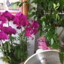 성일공인중개사무소 이미지