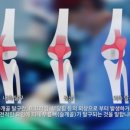 우리동물메디컬센터 이미지