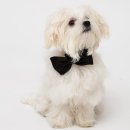 기분좋은 동물병원 이미지