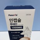 인메디칼 | 강아지 눈 영양제 인캡슐 루테인 후기