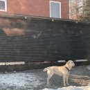 댕 빌리지 이미지