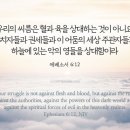 네뜨네일 네이버블로그