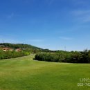 남안동컨트리클럽 이미지