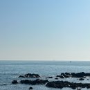 아난티 앳 부산 코브 이미지