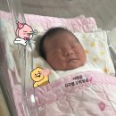 69 | [애옹일기] 경북 안동 출장스냅 추천 | 마미스냅 | 뉴본 촬영후기