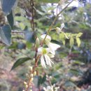 칠봉이네 이미지