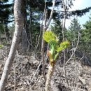 노무내농장 이미지